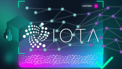 IOTA Snapshot