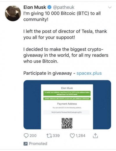Elon Musk Fake Account