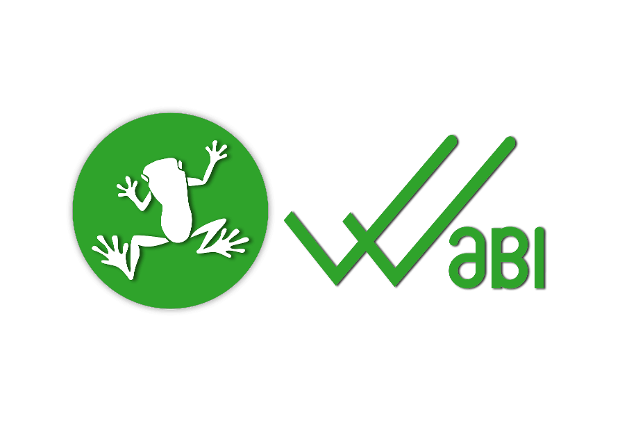 WaBi-Coin
