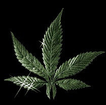Weed by ka3rkwradio cannabis photo