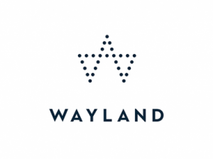 3. Pennystock Aktien kaufen - Wayland Group Corp