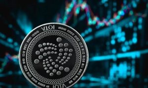 IOTA Bild