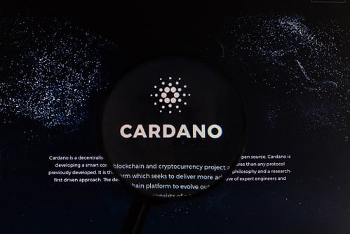 cardano kryptoszene