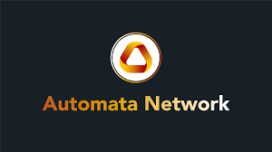 Automata Network