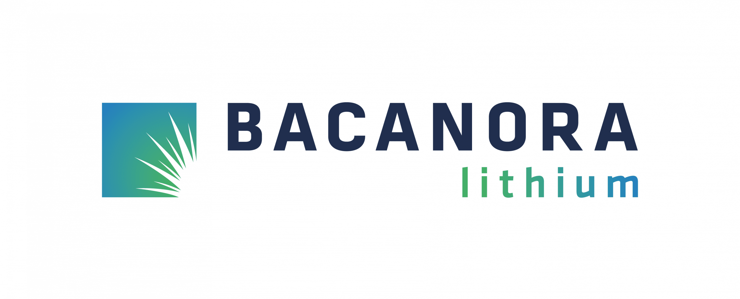 bacanora logo