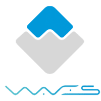 waves coin logo