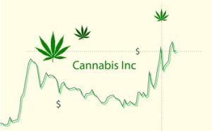 Cannabis Aktie kaufen