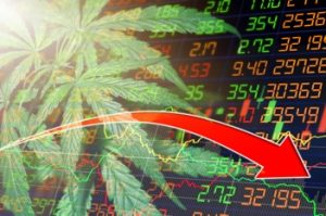 Cannabis Aktie runter
