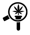 Cannabis Aktie