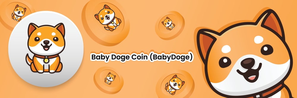Baby Doge Coin Fazit
