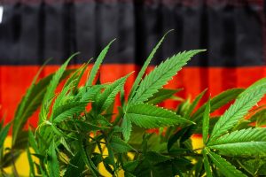 Marihuana Aktien Deutschland