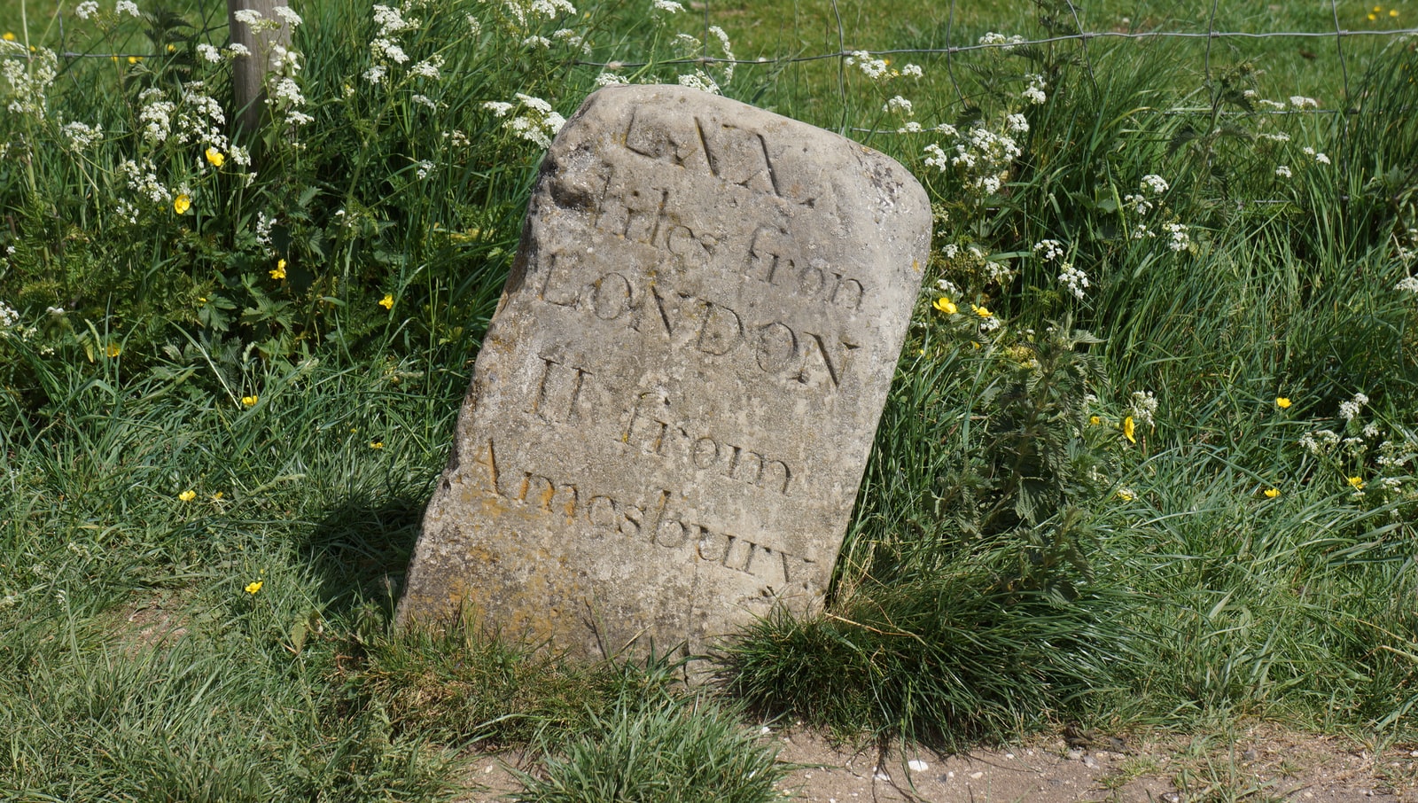 gray concrete tomb stone near green grass