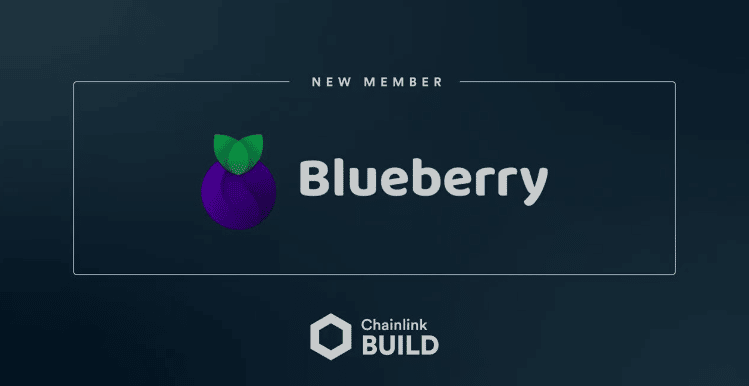Blueberry Chainlink