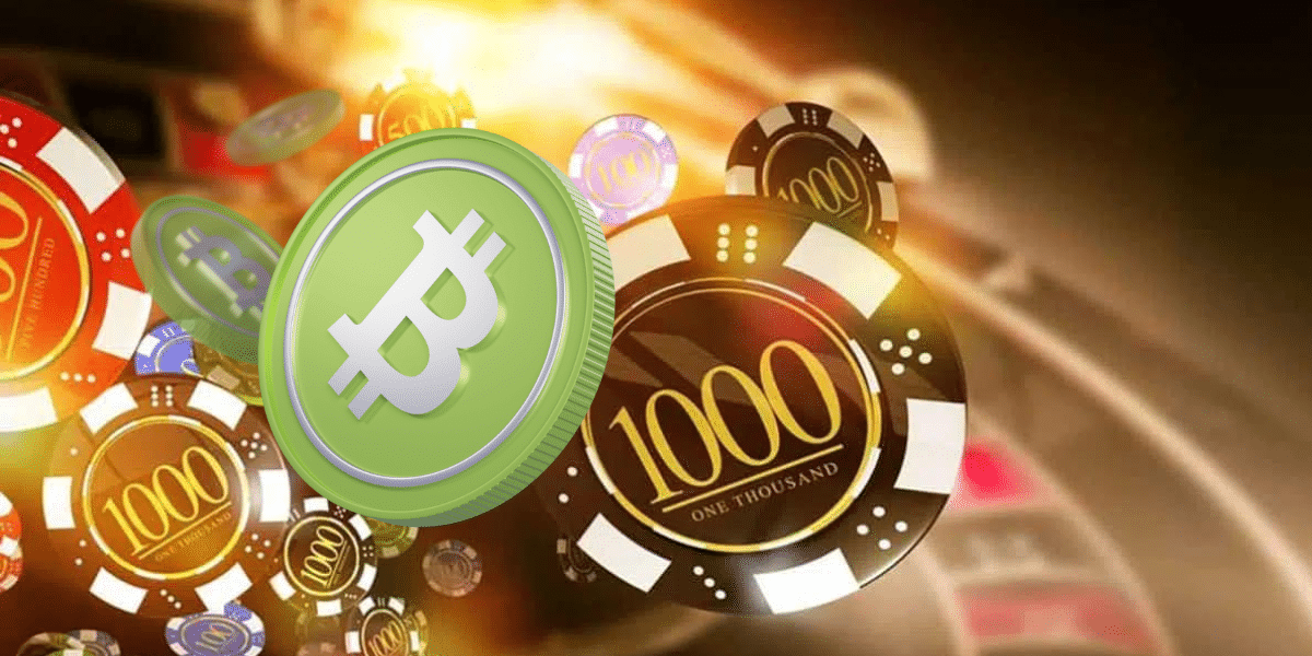 Bitcoin Cash Krypto Casino