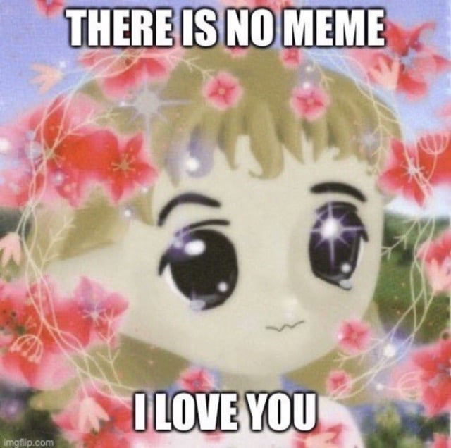 There is No Meme