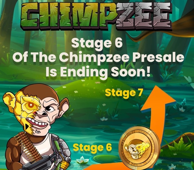 Chimpzee Prognose