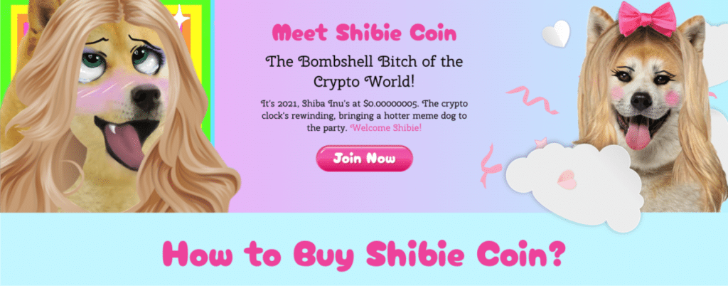 Shibie Coin kaufen