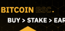 Bitcoin BSC Logo
