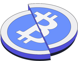 bitcoin halving icon
