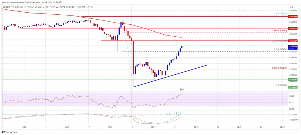 Cardano Resistenzen