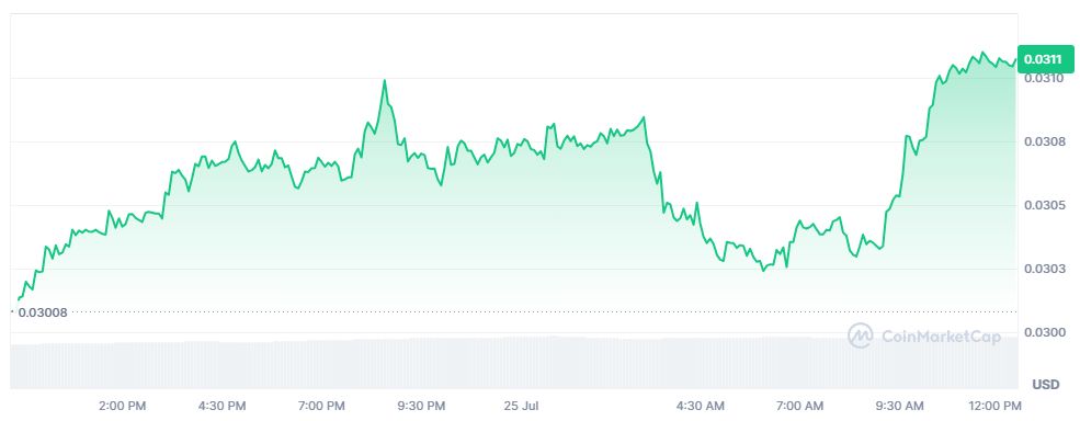 XDC Network Token