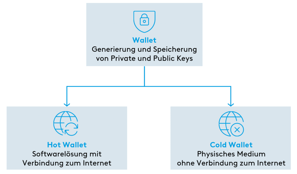 hot vs cold wallet