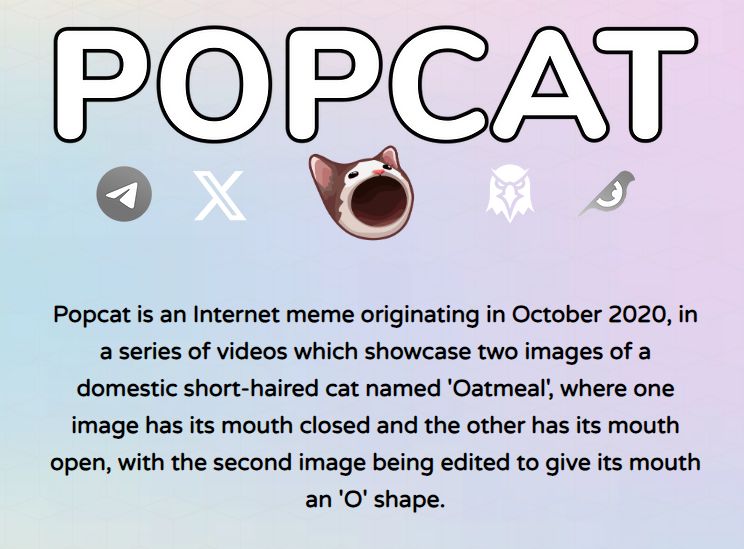 Popcat Meme