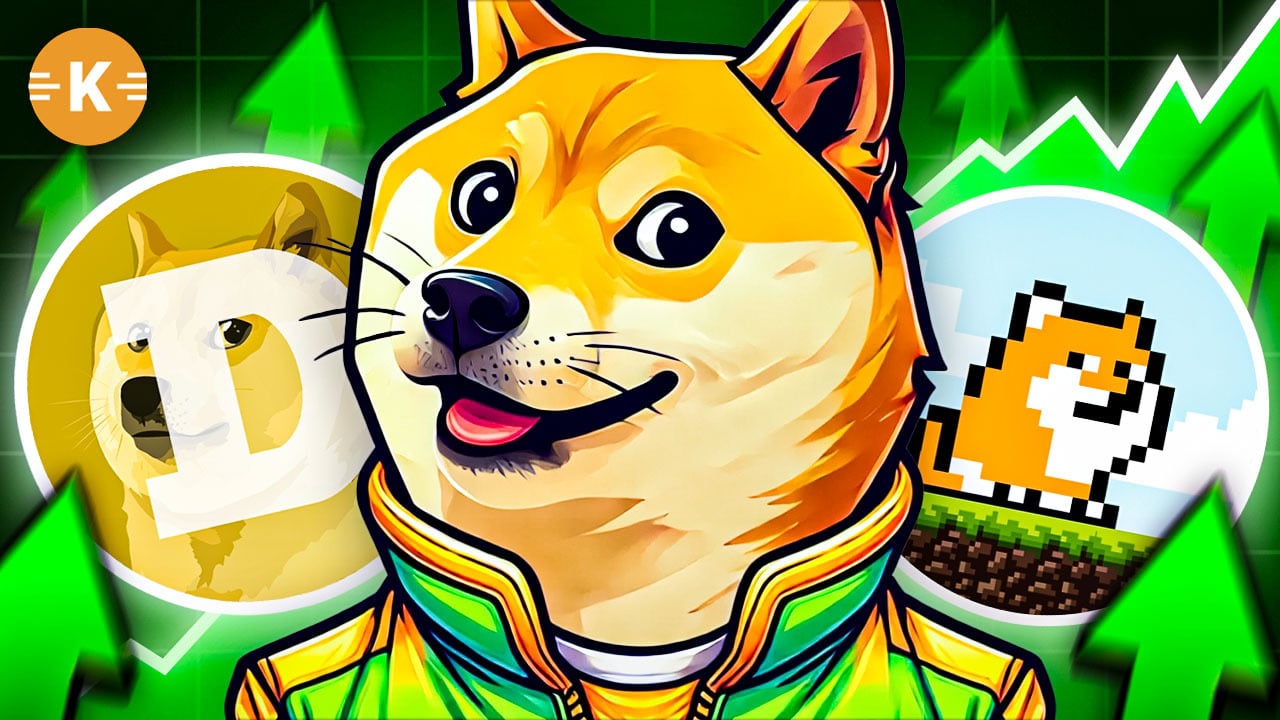 doge a p