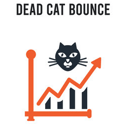 Dead cat bounce icon 2