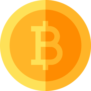 bitcoin icon