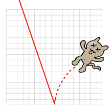 cat bounce