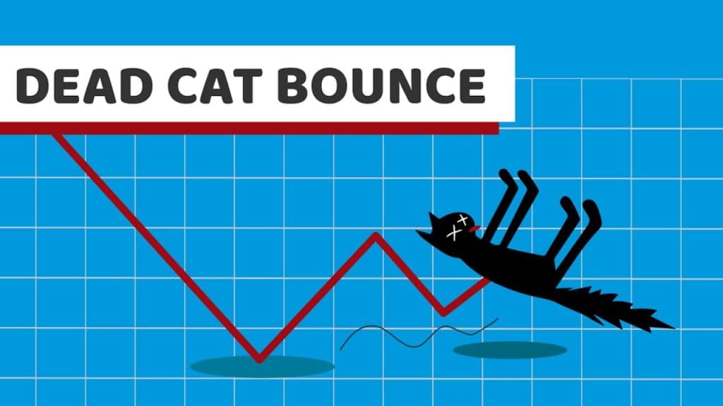 dead cat bounce