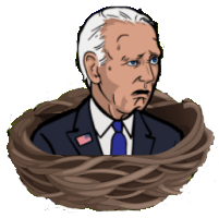 biden nest