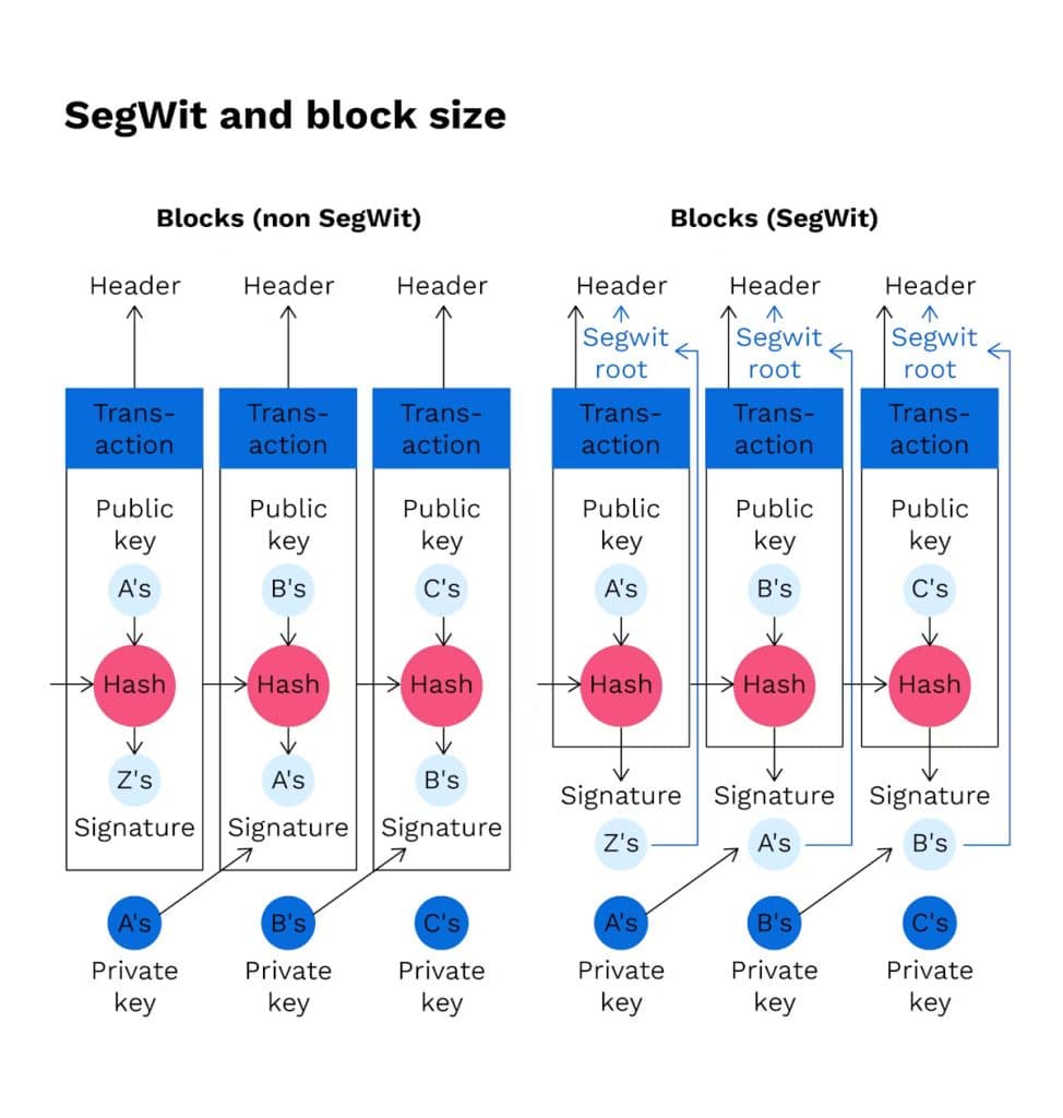 segwit erklart