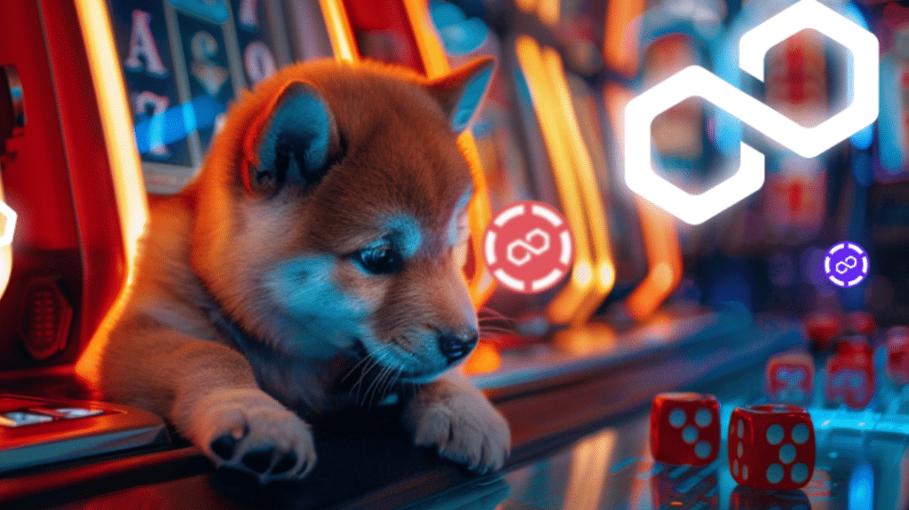 shiba und polygon steigen