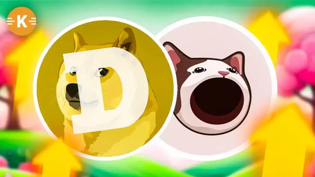 DOGE POPCAT Dogecoin PEPU Pepe Unchained kaufen prognose