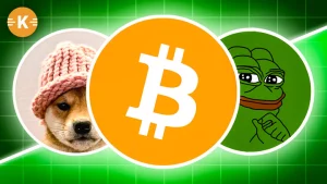 BTC PEPE WIF kaufen prognose