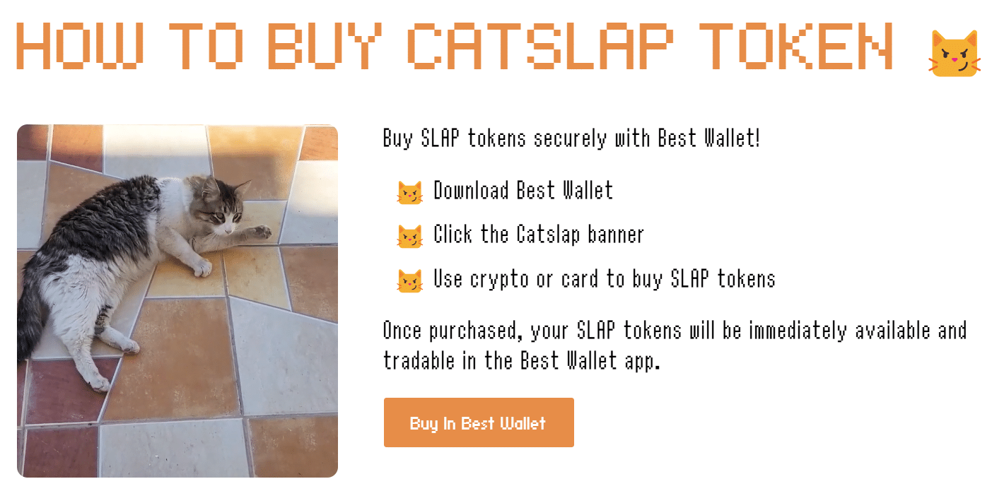 catslap-buy