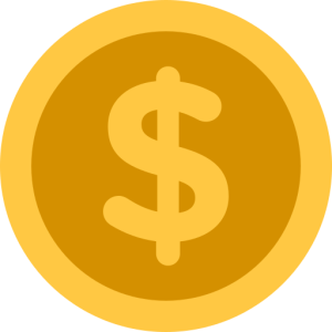 coin icon