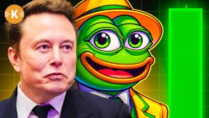 pepe elon