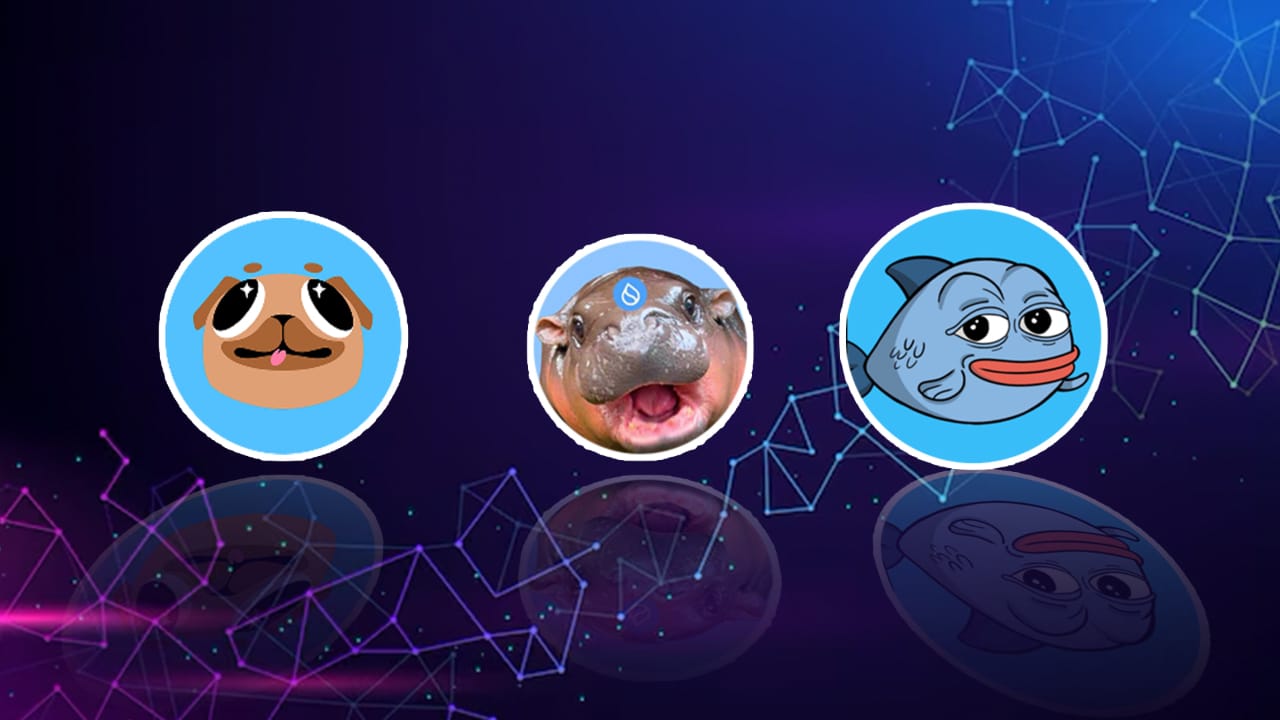 Sui Meme Coins: Top Sui Meme Coins im Vergleich 2026