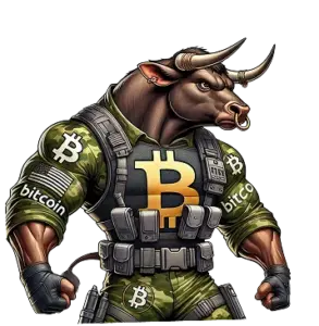 Bitcoin Bull Preisprognose