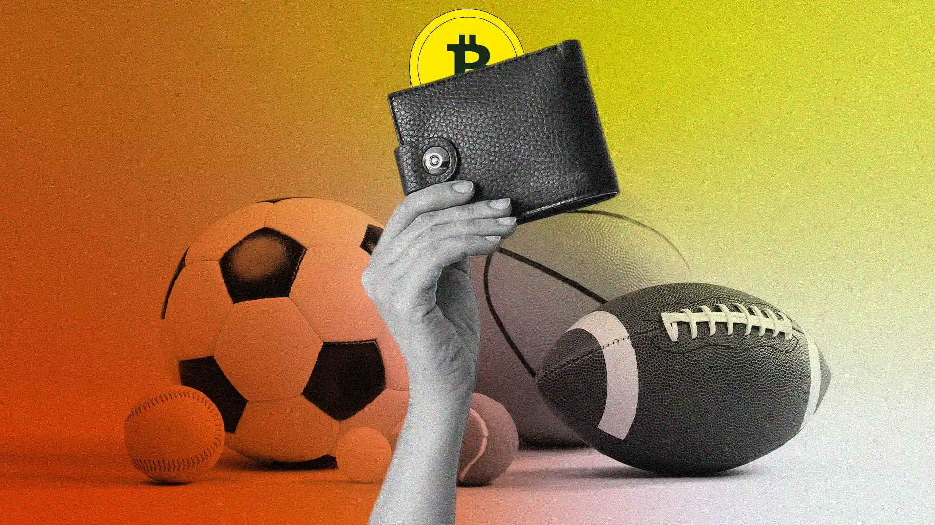 Bestes Bitcoin Wallet für Sportwetten: Top 5 im Test