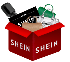 Shein Mystery Box