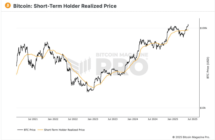 Bitcoin Preis Bitfinex