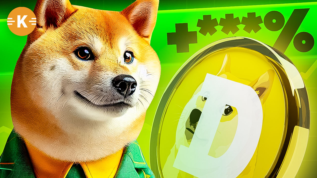 DOGE Preis Dogecoin