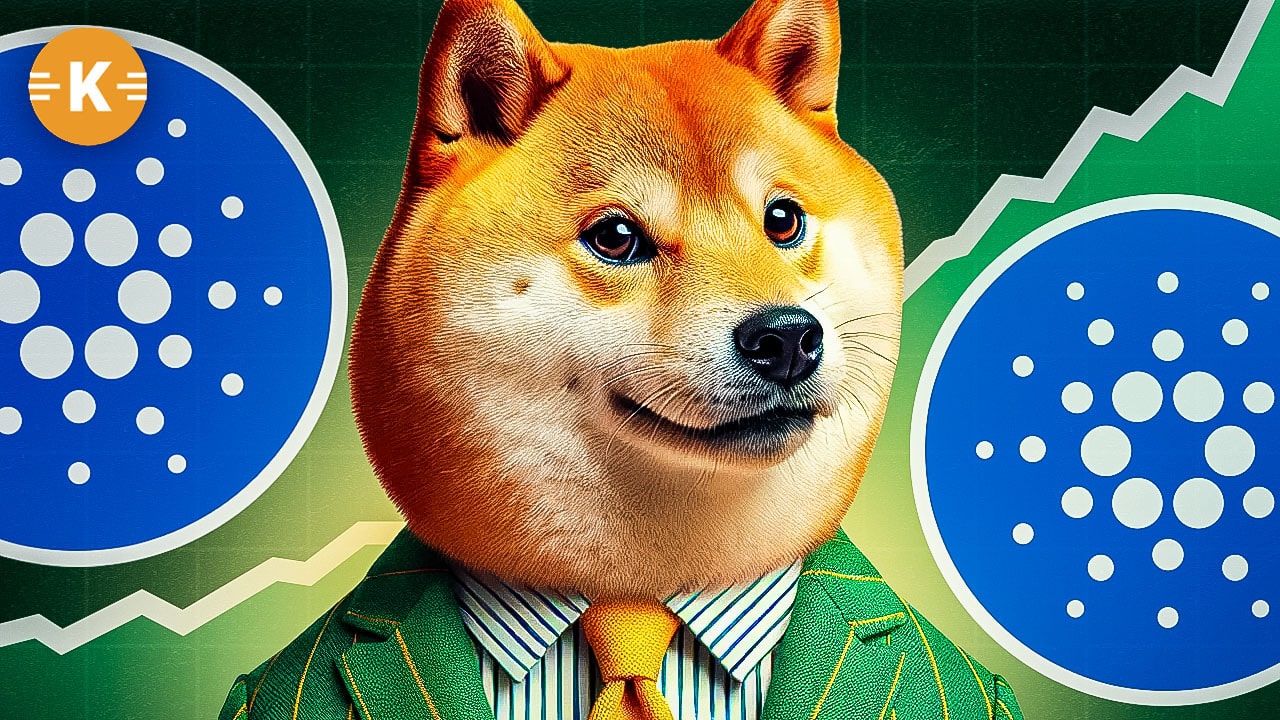 Dogecoin Preis 0,50 US-Dollar