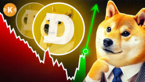 DOGE-Kurs