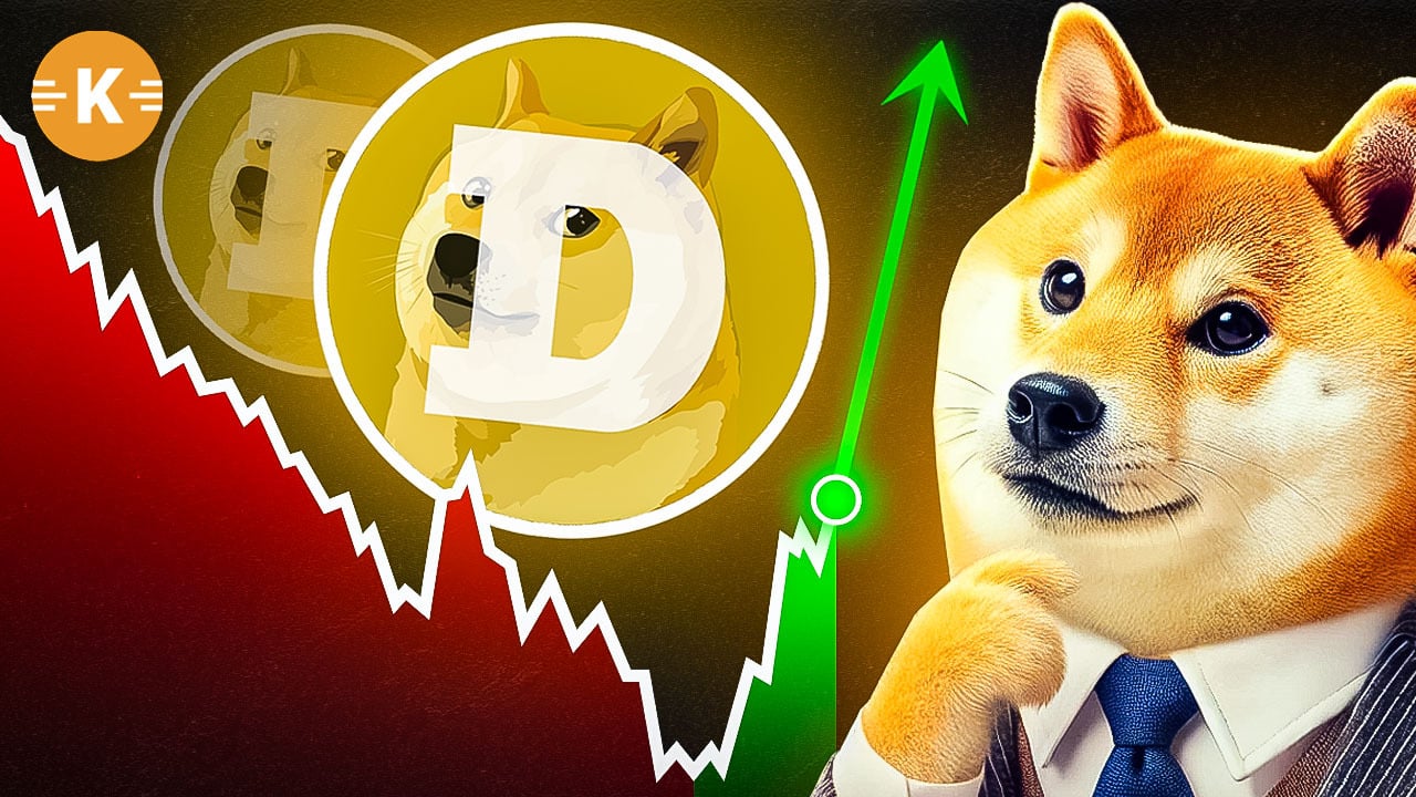 DOGE-Kurs