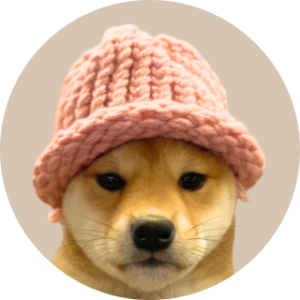 dogwifhat coin kaufen